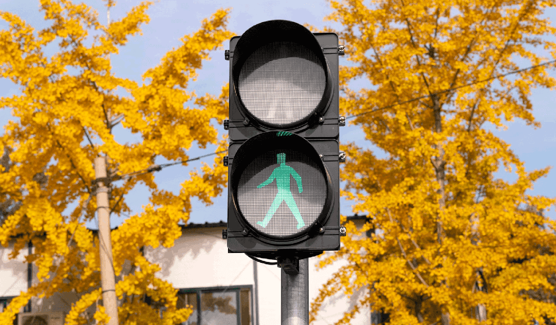 008-Verkeersregelaars